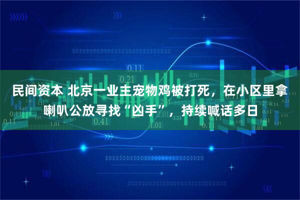 民间资本 北京一业主宠物鸡被打死，在小区里拿喇叭公放寻找“凶手”，持续喊话多日