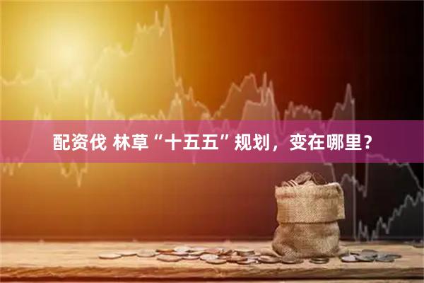 配资伐 林草“十五五”规划，变在哪里？